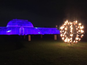 Our activity for this evening rather than shopping. Enjoying Christmas lights at Kew with friends. Photo from 2014.