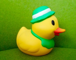 My old blog logo - A yellow plastic duck with a green hat and green background