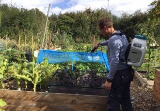 Beer for plants spraying