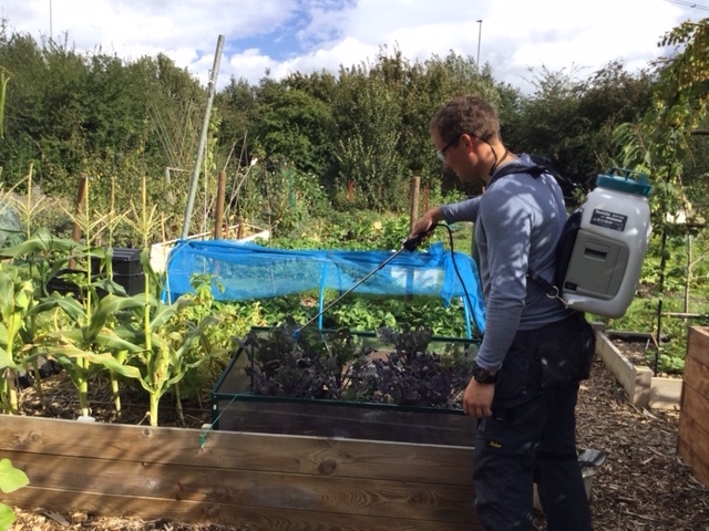 Beer for plants spraying