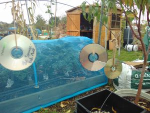 CD's hanging from strong on a fence at an allotment