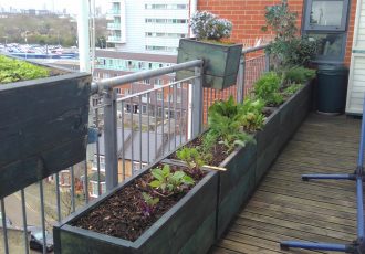 Wooden troughs growing vegetables on a balcony.