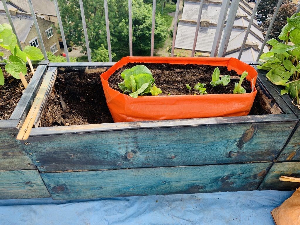 A wooden trough with one rotten side. An orange fabric collapsable trough is inside.