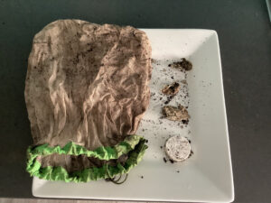 Net bag (covered in compost) on a plate with remnants of compostable bag.