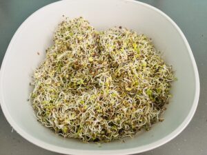 Sprouts in a plastic container