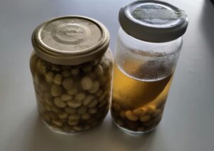 Nasturtium seeds in 2 glass jars