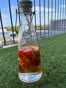 Bottle with nasturtium flowers and vodka inside