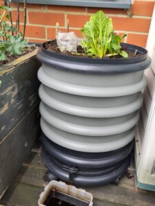 Grey round wormery with plants growing on top